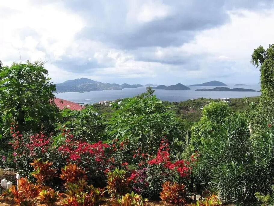 Cielo Vista Villa 3 Bdrm Sleeps 6 Heavenly View Cruz Bay ภายนอก รูปภาพ